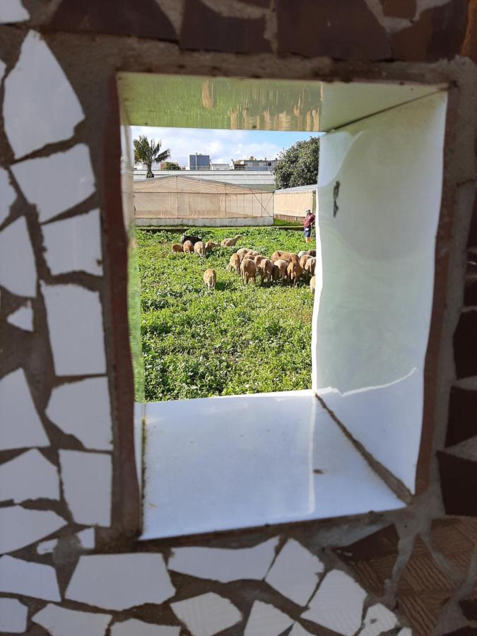 Séjour chez l'habitant Viajeros *