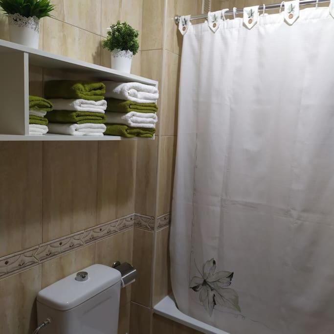 Apartment Friendly