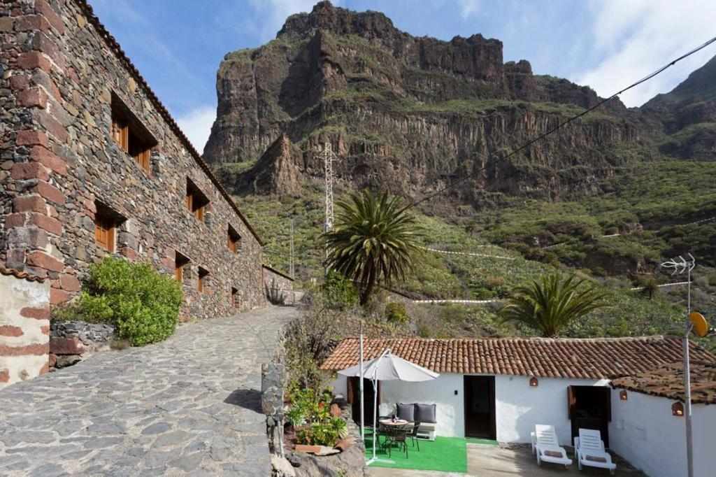 Traditional Canary In * Masca