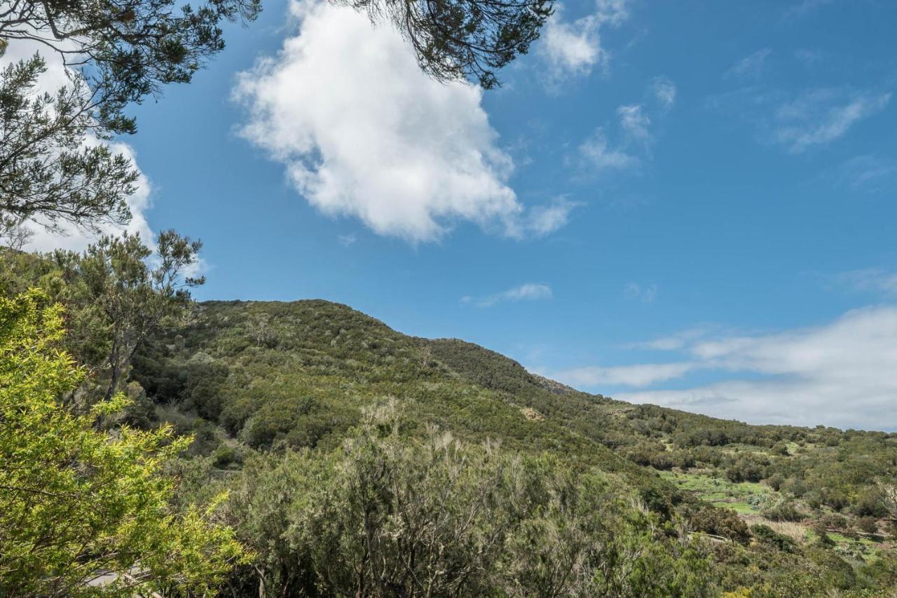 Teno Alto Buenavista Del Norte