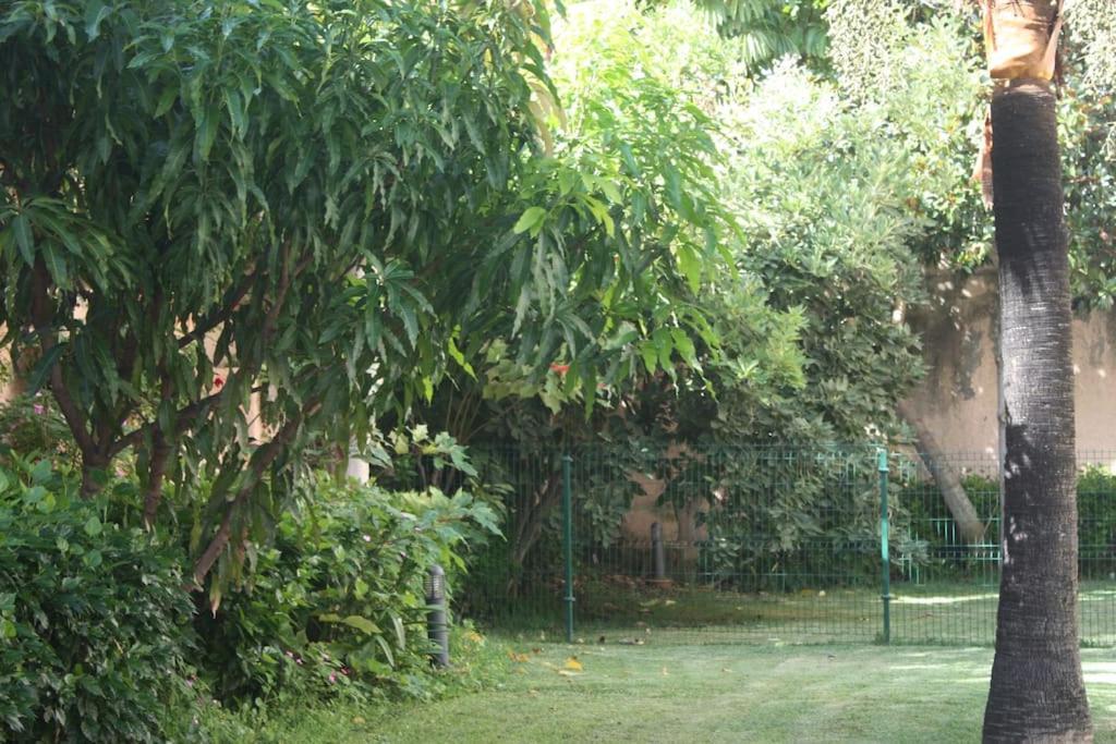 Appartement Puerto De La Cruz: Loft, Terraza Y Piscina Puerto de la Cruz (Tenerife)