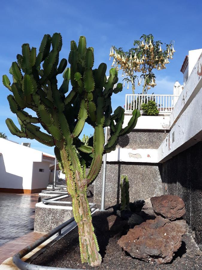 I Tenerife! I Island Village!