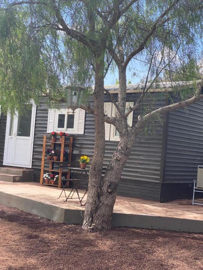 Casita Entre Vinedos, Experiencia Rural, Ideal Ninos. Holiday home