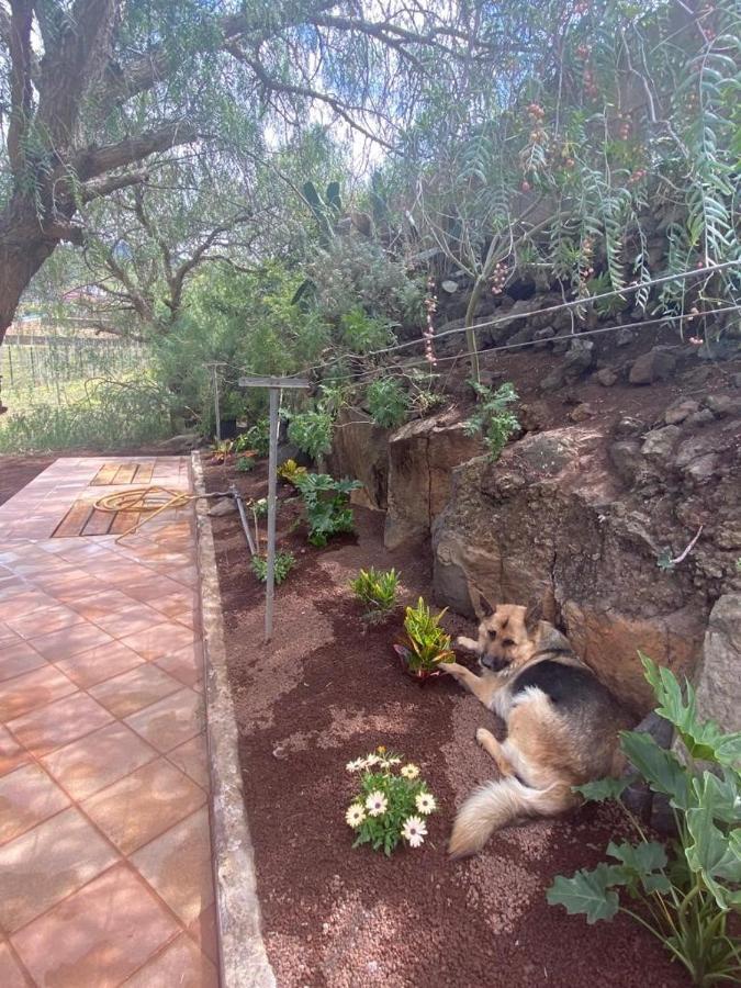 Casita Entre Vinedos, Experiencia Rural, Ideal Ninos. Holiday home Tegueste