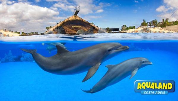 Apartamento Royal Ocean View - Localization