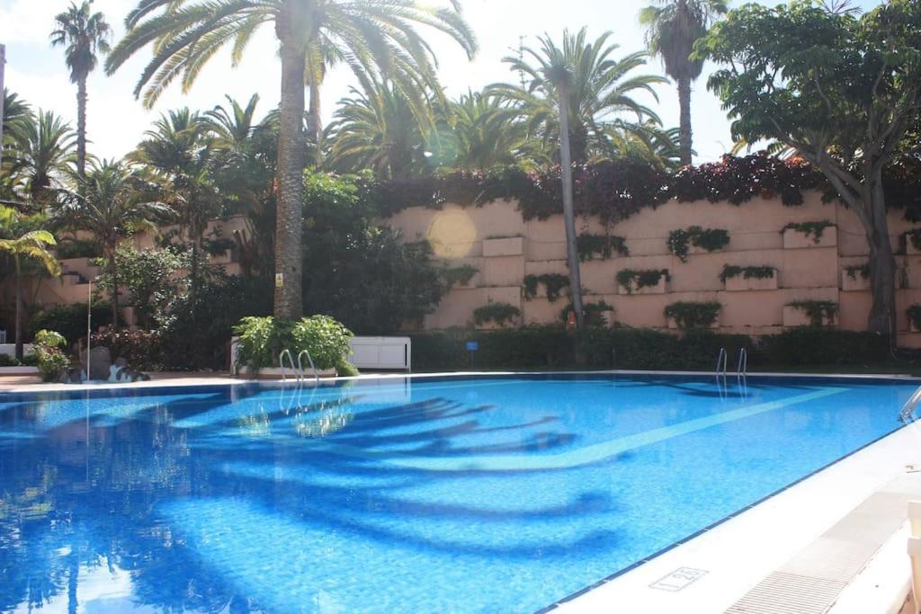 Puerto De La Cruz: Loft, Terraza Y Piscina Appartement