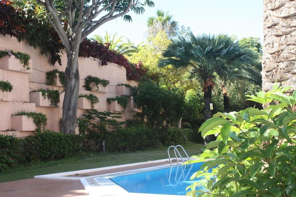 Puerto De La Cruz: Loft, Terraza Y Piscina Appartement