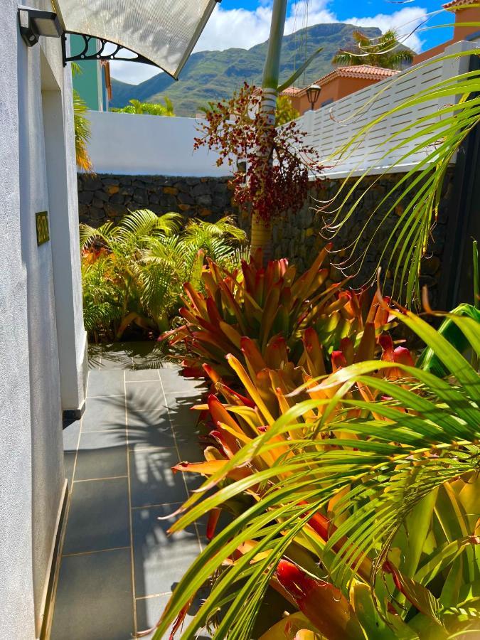 La Selvita Homestay *