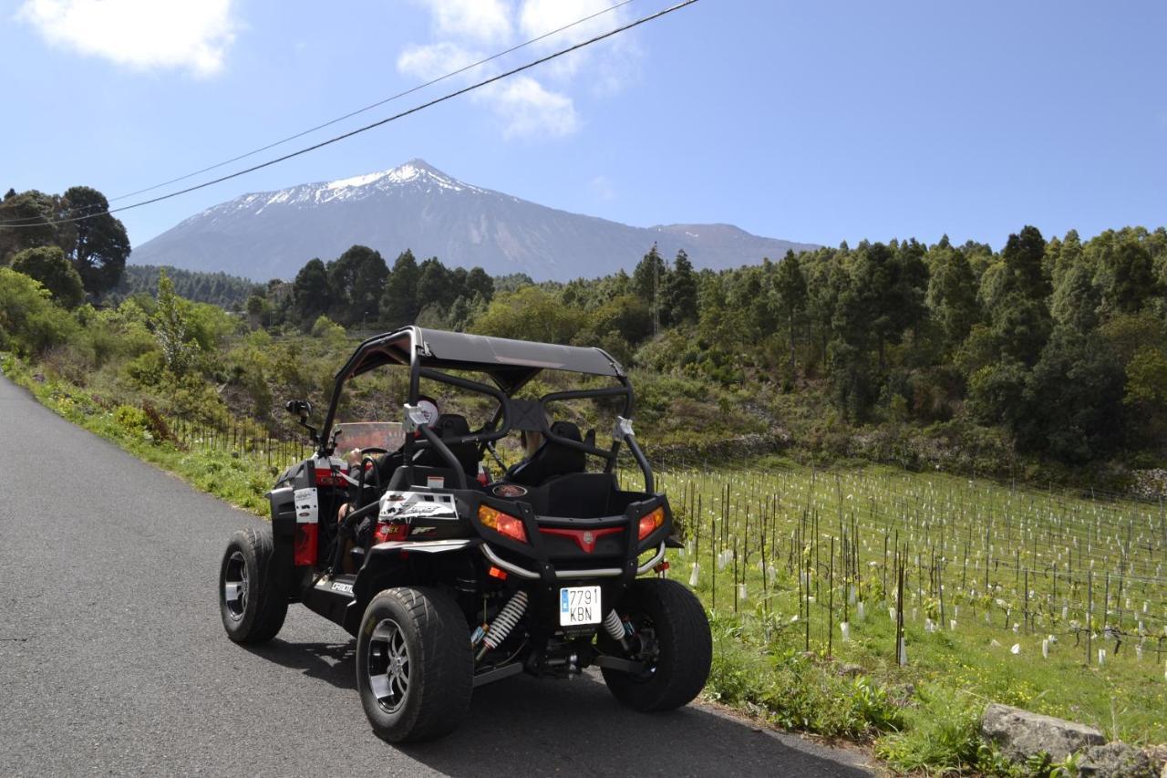 La Tagora Conect With The Nature & Relax Chalet Icod De Los Vinos