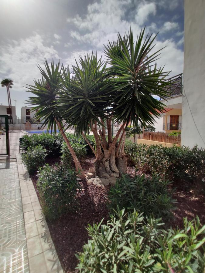 Apartamento Soleil Altamar