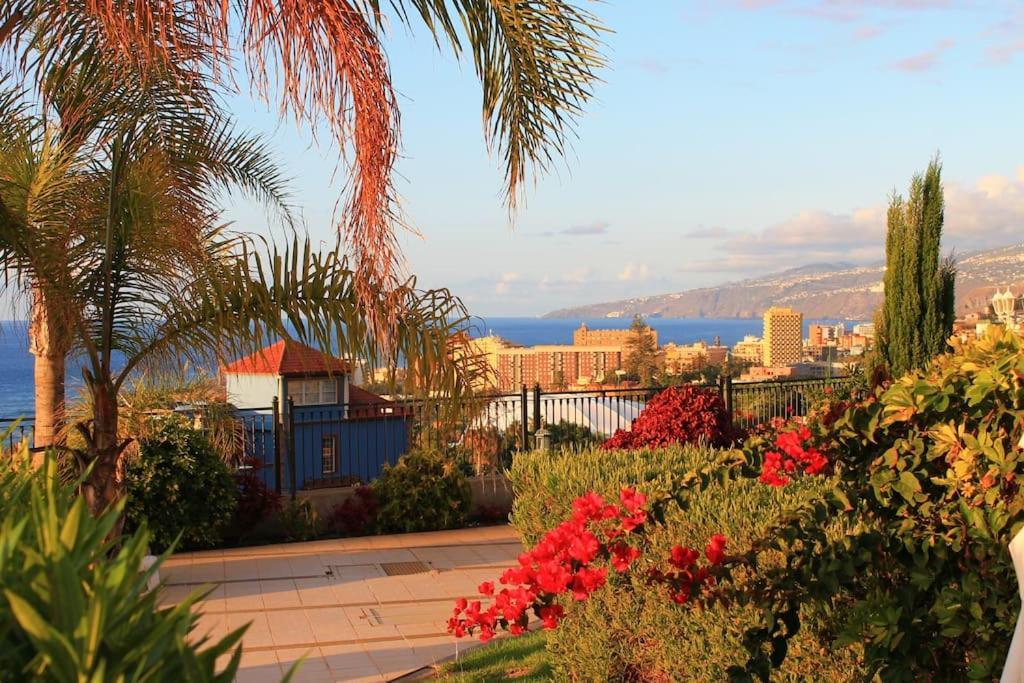 Los Organos Luxe Appartement Puerto de la Cruz (Tenerife)