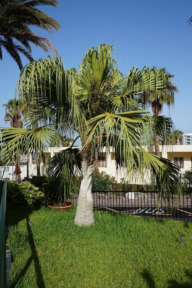 Apartment El Sombrero