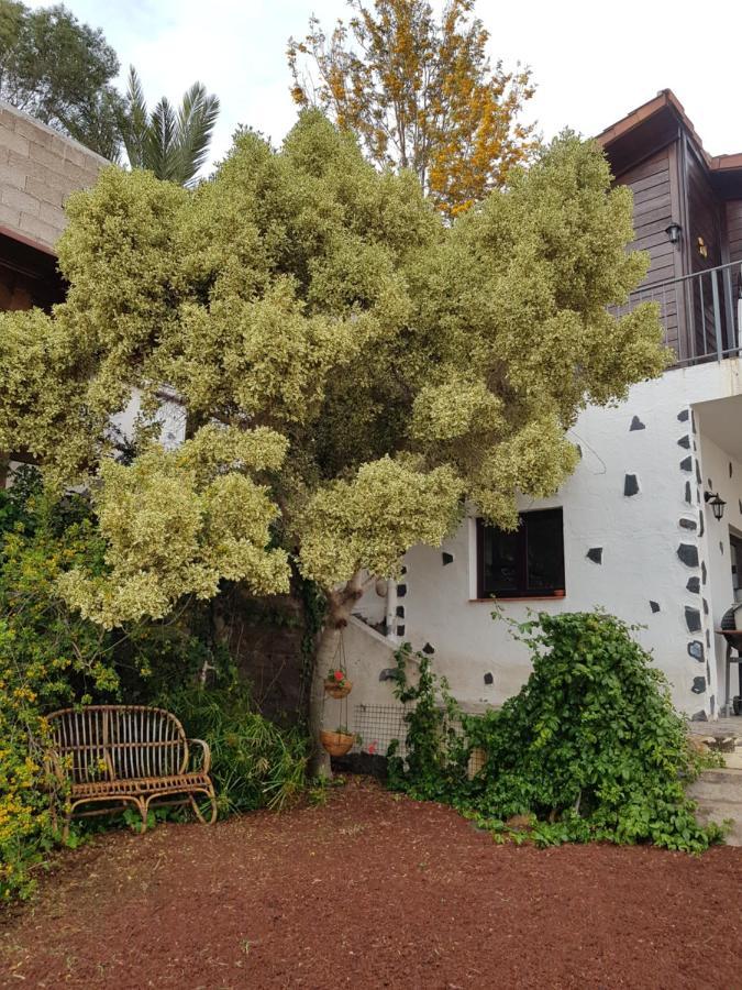 Casa Tinguaro Chiguergue