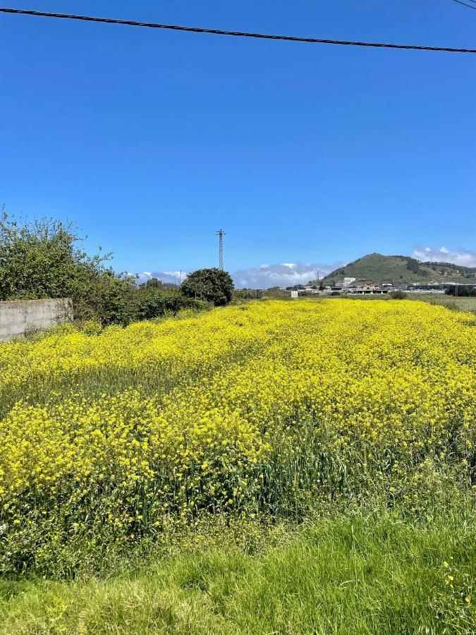 La Macadamia * La Laguna (Tenerife)
