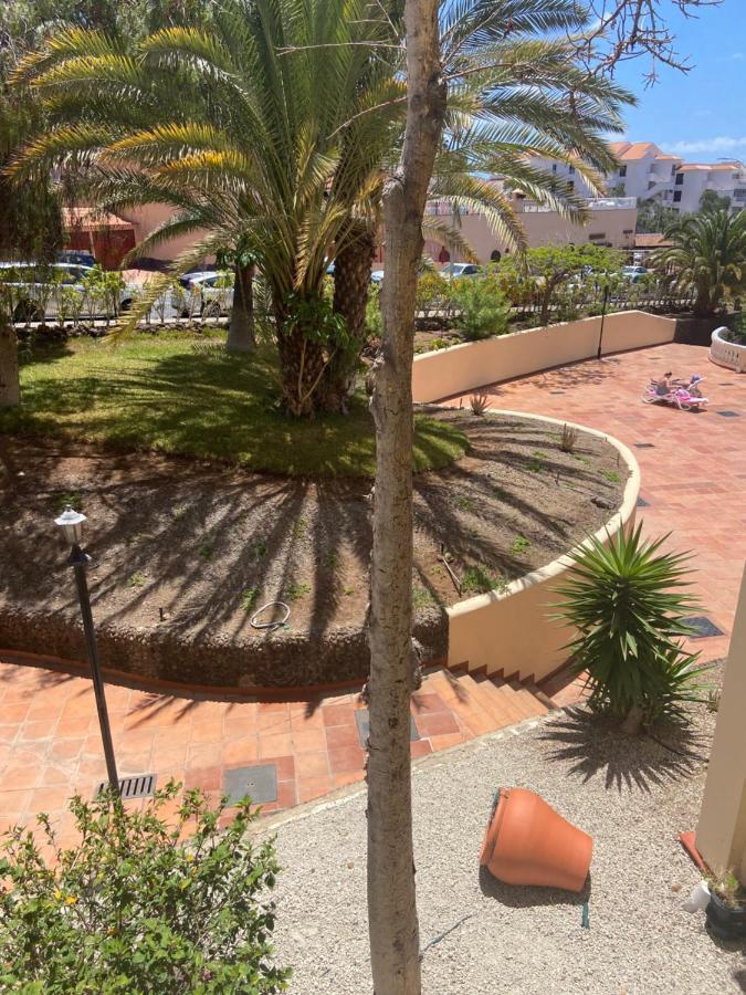 Estudio Castle Harbour 451 * Los Cristianos (Tenerife)