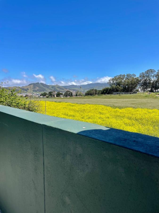 Holiday home La Macadamia