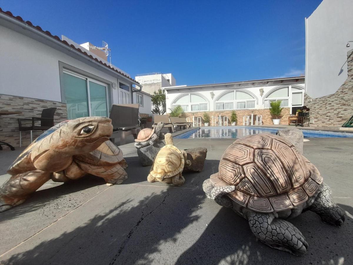 Appartement Tenerife Little Village 1d