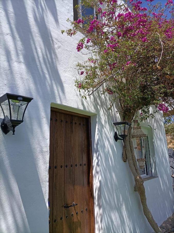 Country Holiday home Granadilla De Abona