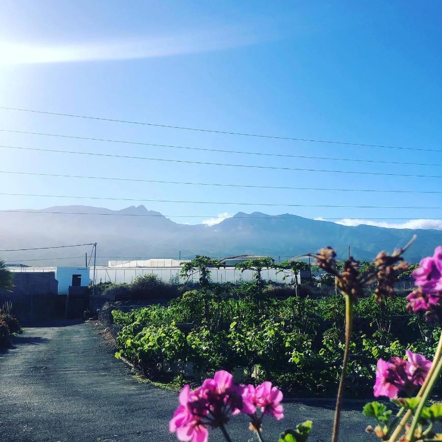 Conejos Farm stay *