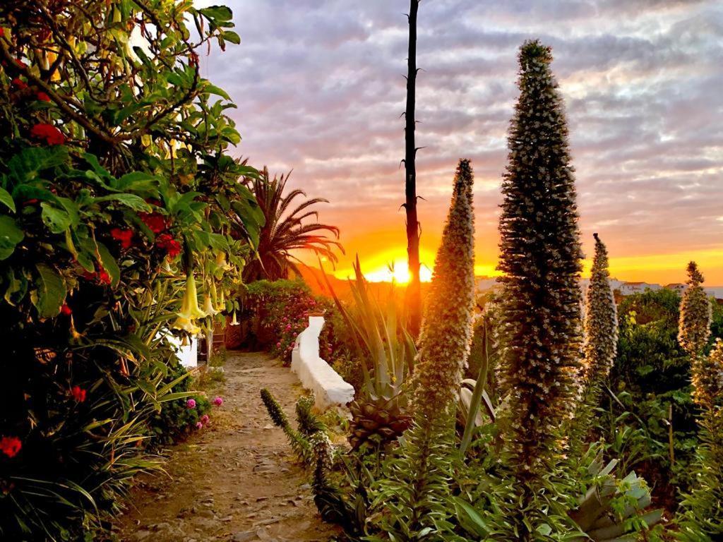 Unique Canarian 1700s - Casa Salvia Las Aguas - Ocean & Natural Pools 150m - Whole Gated House San Juan de la Rambla