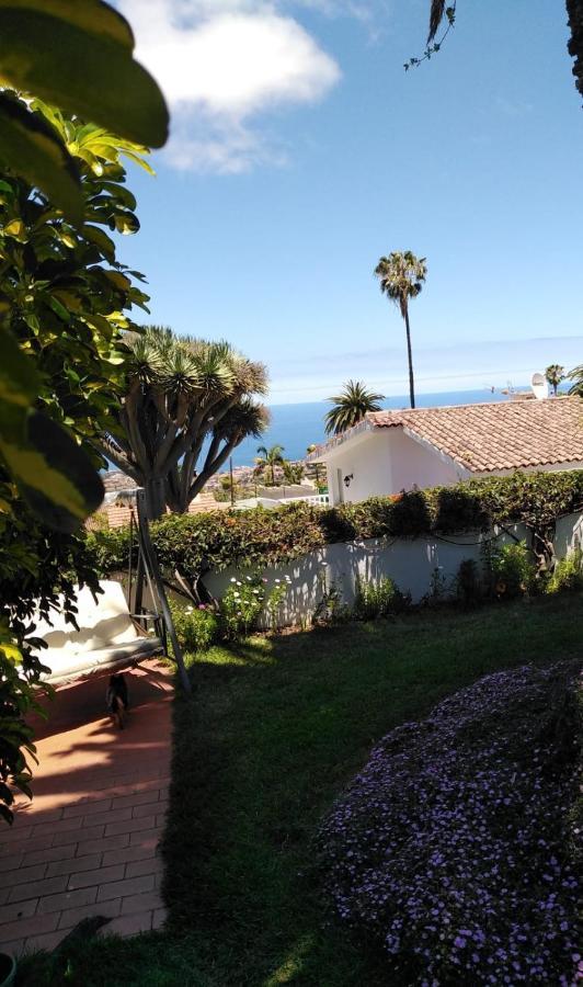 Studio-apartment Sabine * La Orotava