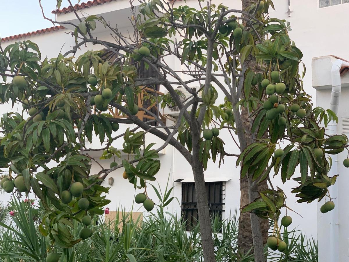Ocean Paradise Appartement Costa Adeje (Tenerife)
