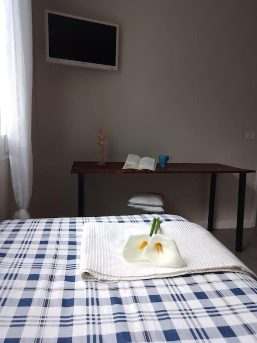 Appartement Humboldt ,island Paradise *