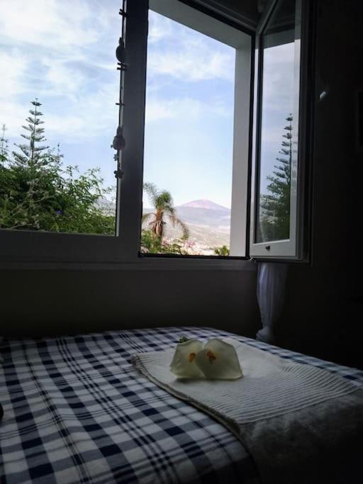 Humboldt ,island Paradise Appartement