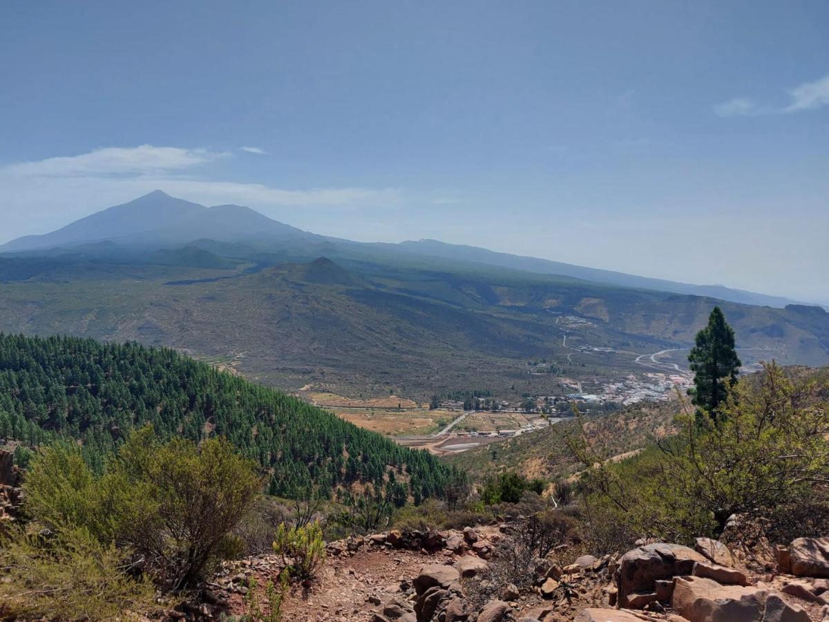 Vista Del Drago Icod De Los Vinos