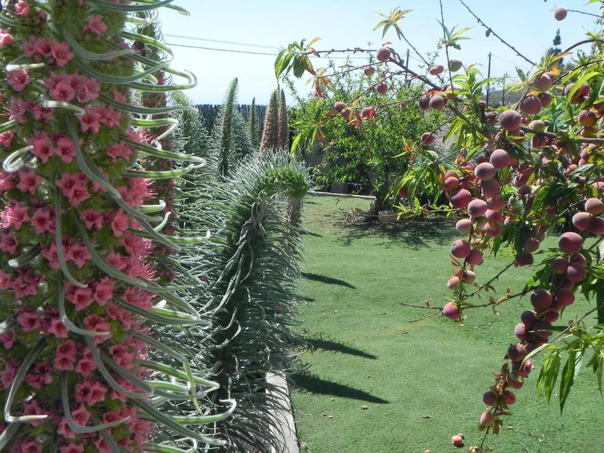 Casa Irma, Great Sea And Mountains Views, Rural House Holiday home Costa Adeje (Tenerife)