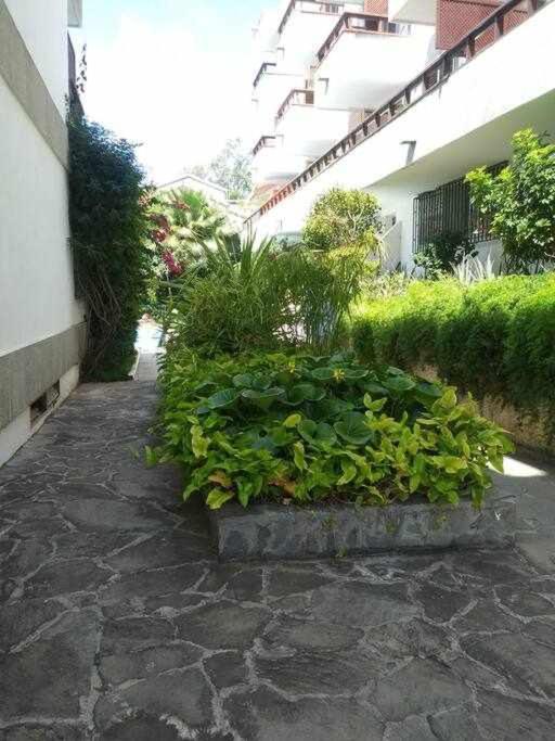 Piso De Lujo En El Centro Apartment