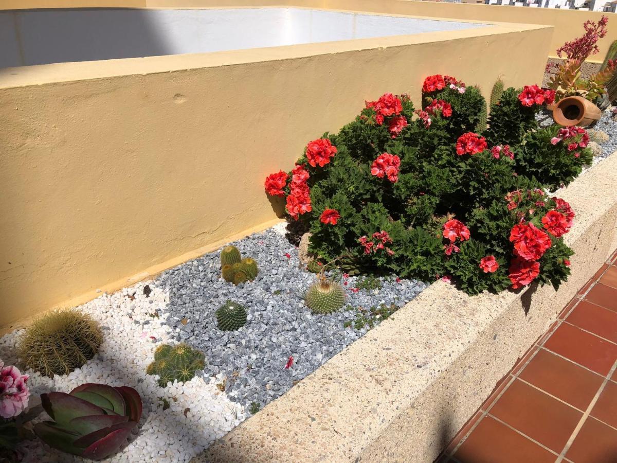 Con Impresionantes Vistas Y Piscina Apartamento *