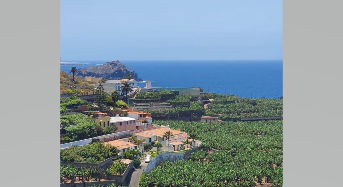 Apartment Monis Rooms,apartment Holidays Green Tenerife Playa San Marcos Icod De Los Vinos