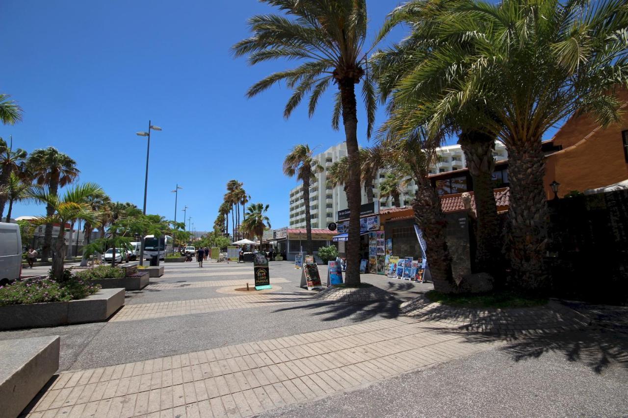 Discover Americas Apartment Playa de las Americas (Tenerife)