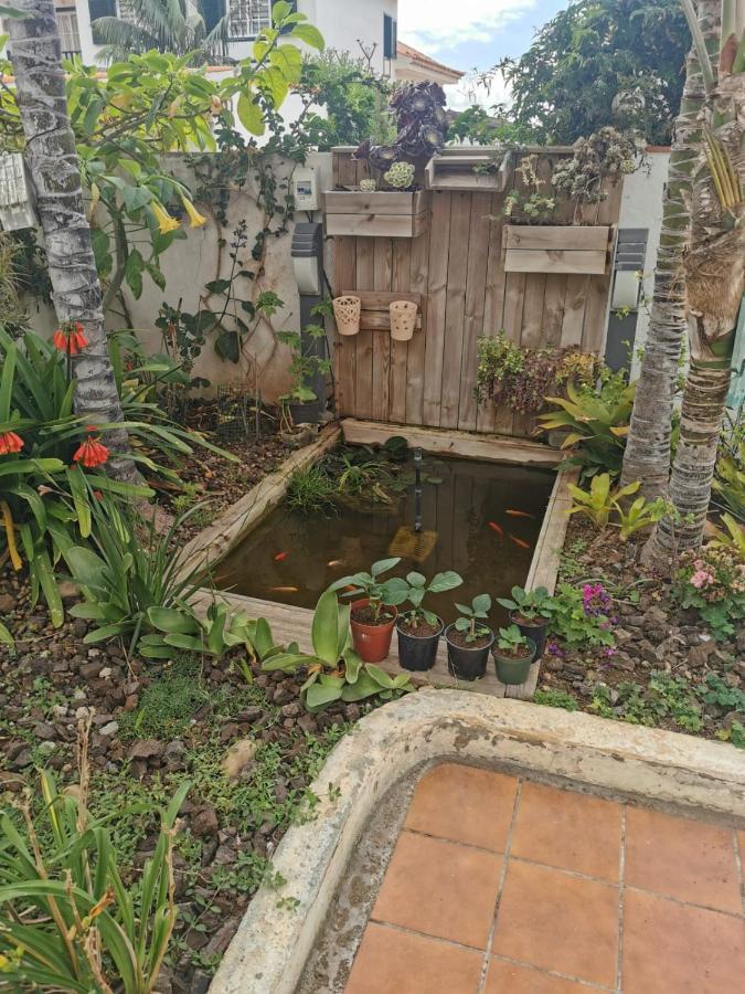 Jardin44 Apartment *