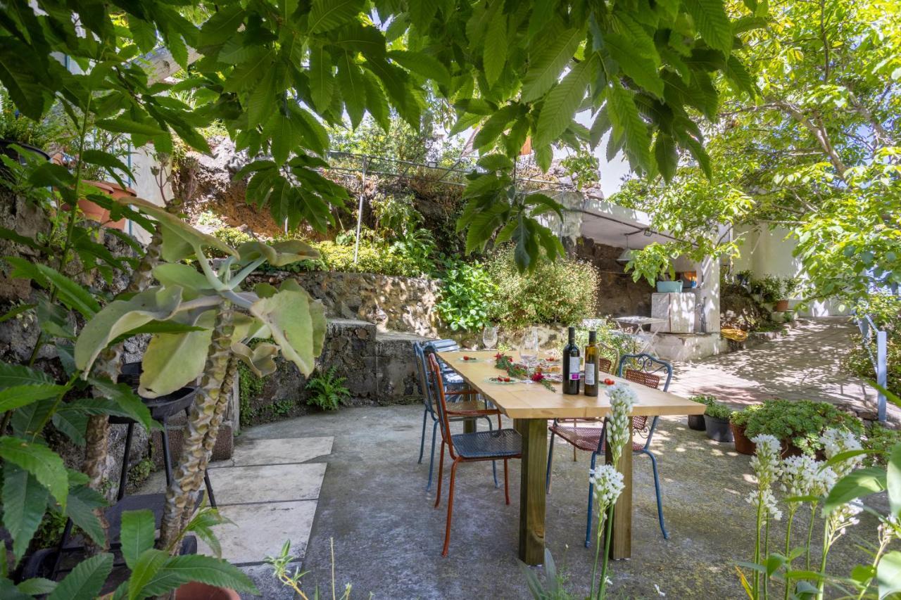 Casa El Nogal Сasa de vacaciones *
