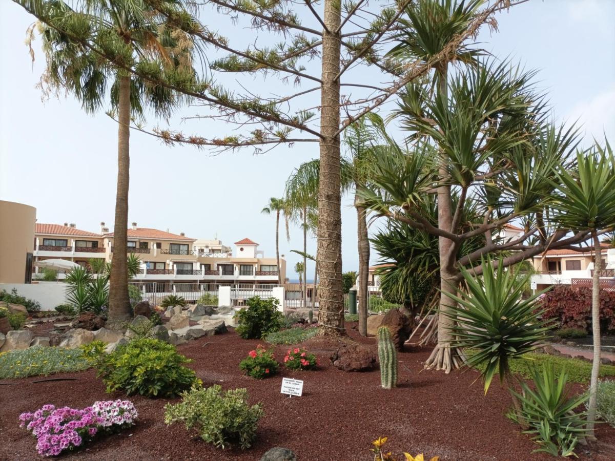 Apartamento Estudio En Tenerife Con Piscina / Study Flat With Pool