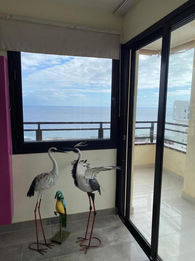 Appartement Paraiso125