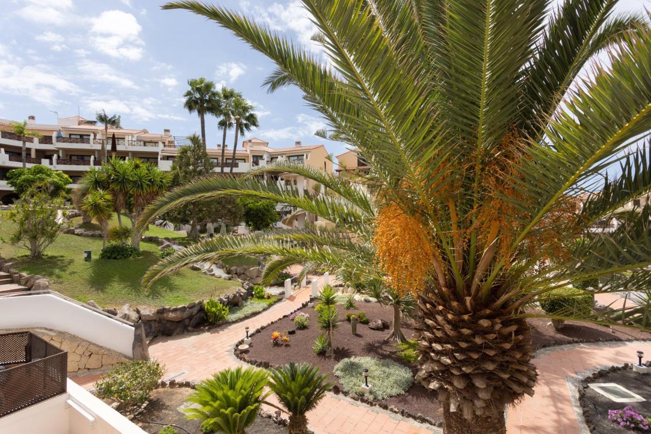 Oceanfront Tenerife South Abatros 254 Apartment San Miguel de Abona