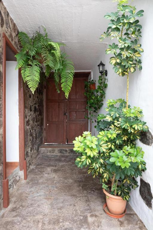 Casa Canaria Acero Holiday home