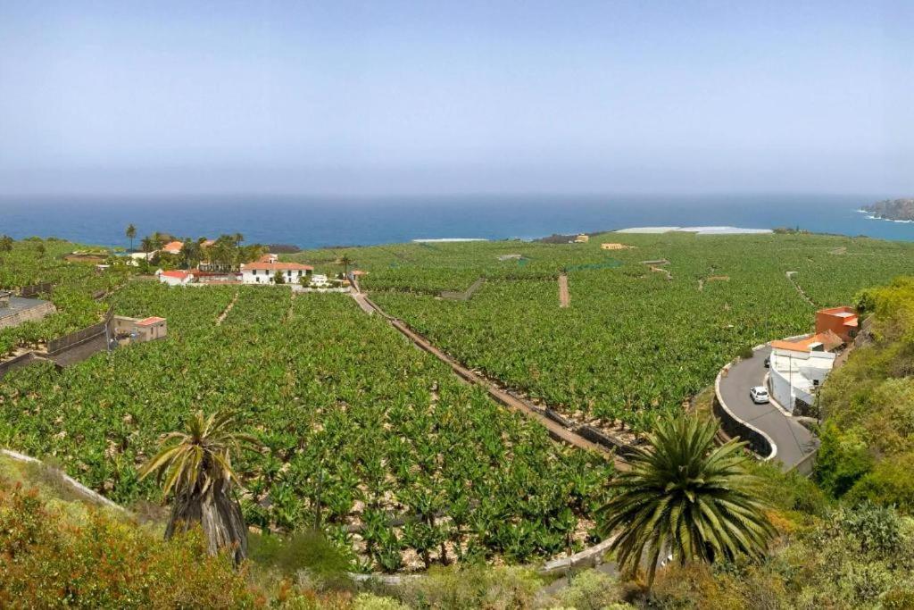 Casa Canaria Acero Garachico (Tenerife)