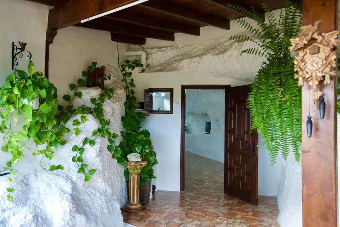 Hébergement de vacances Casa Cueva La Herencia