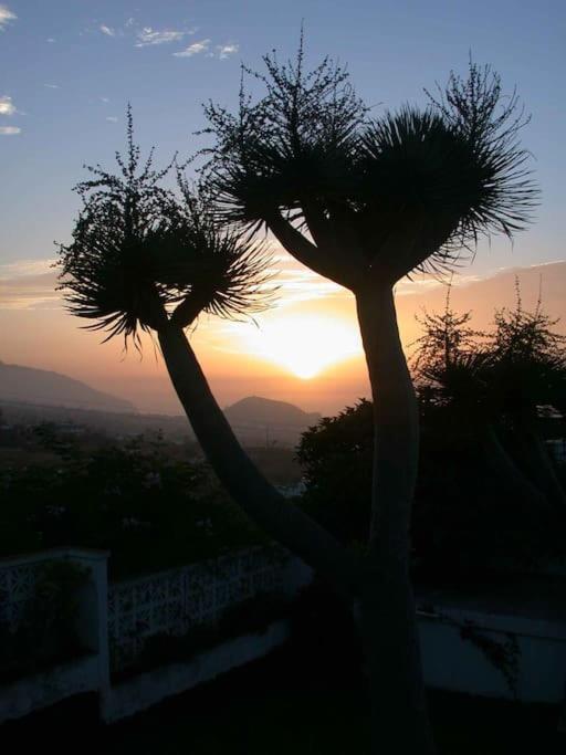 Finca Paraiso Monturrio Wellness Azul * La Orotava
