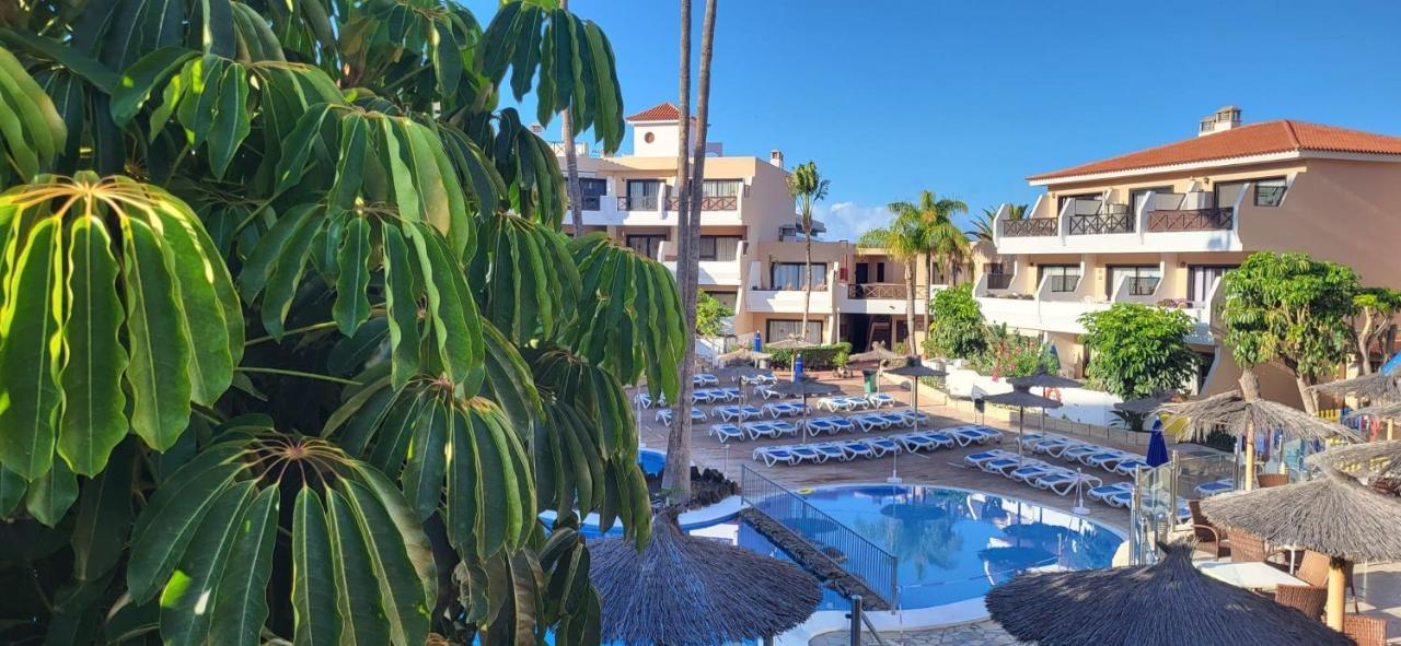Albatros Tenerife Golf Sea View Apartment