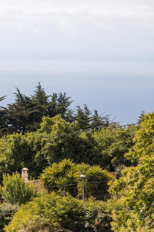 Mialon Rural Apartment: Haven Of Calm In Nature