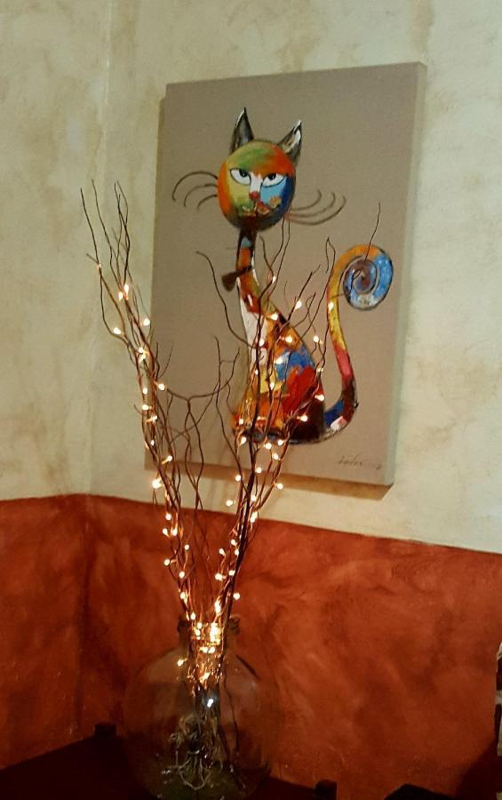 Hébergement de vacances Casapancho 1 Y 2 - - - Tenerife *