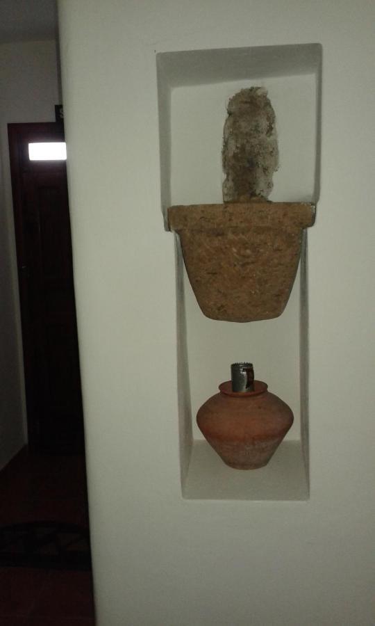 Casapancho 1 Y 2 - - - Tenerife Hébergement de vacances Fasnia