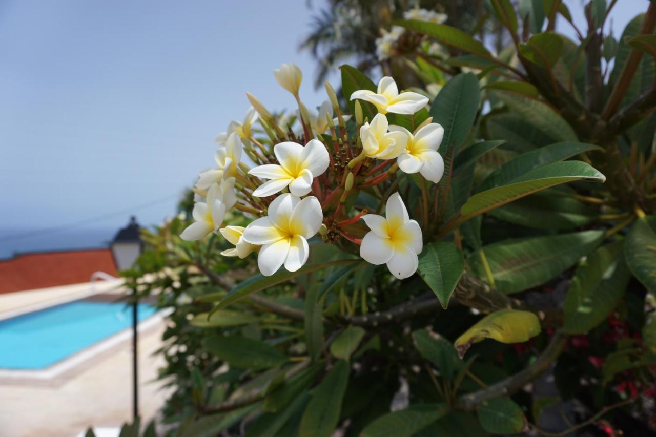 La Romera Appartement *
