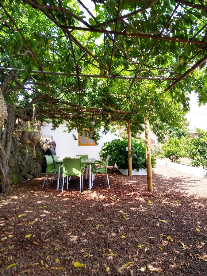 Huertos Conect With The Nature & Relax Hébergement de vacances Icod De Los Vinos