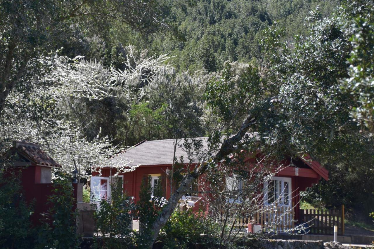 La Gustoza Country house *